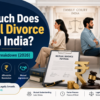 how much does mutual divorce cost in india