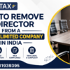 remove-director